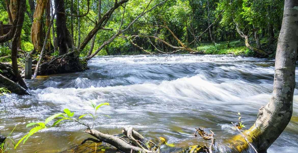 Phnom Kulen Trekking - 2 Days