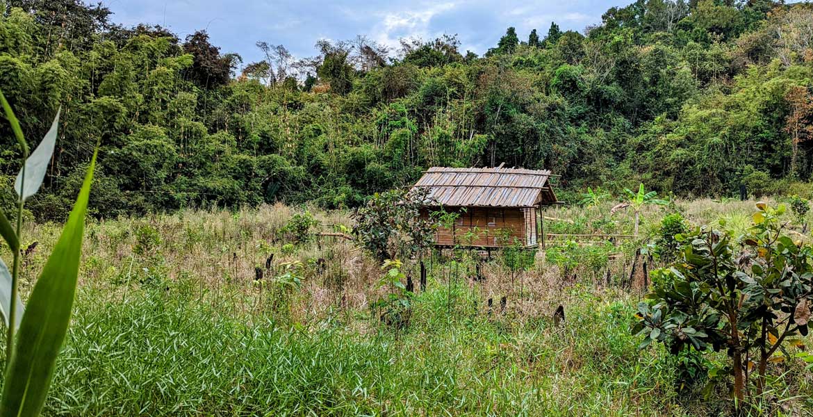 Virachey National Park Trekking