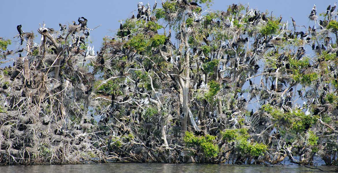 Tonle Sap Lake Multi-Adventure Tours