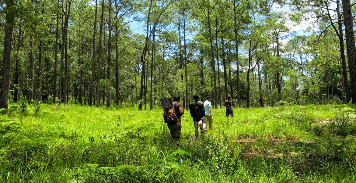 Stueng Porpok & Kirirom Trekking